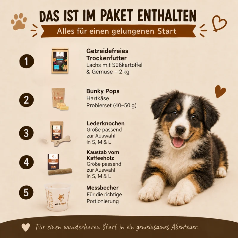 Welpen Paket "Willkommen Puppy"