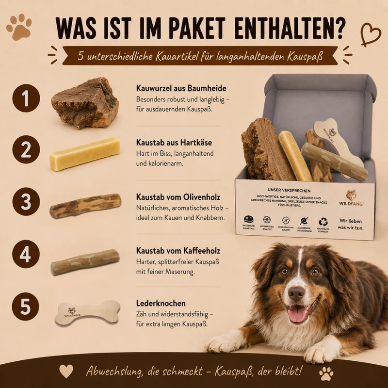 Paket "Kauspaß"