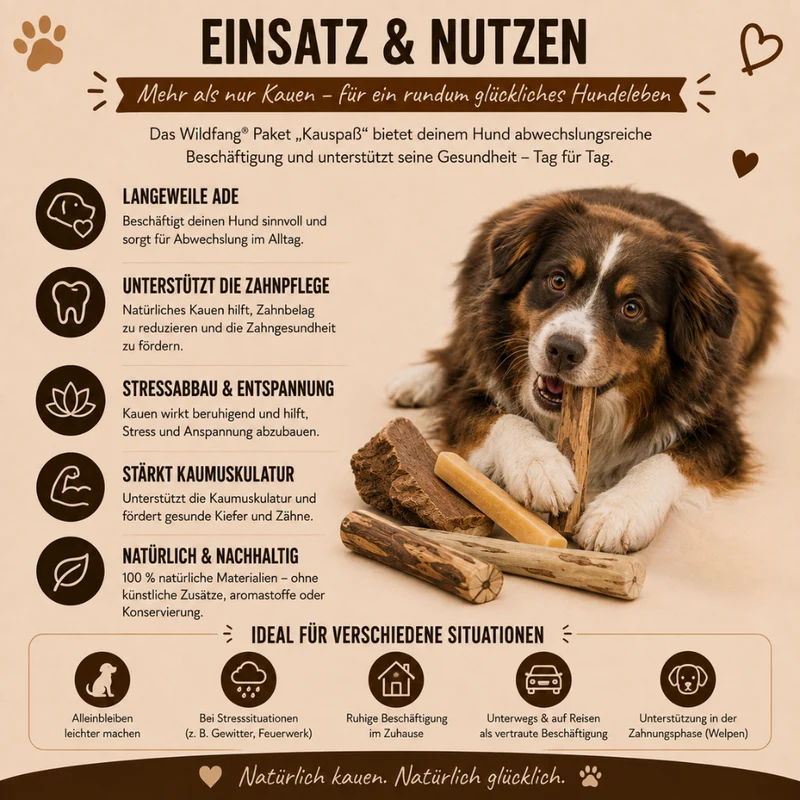 Paket "Kauspaß"