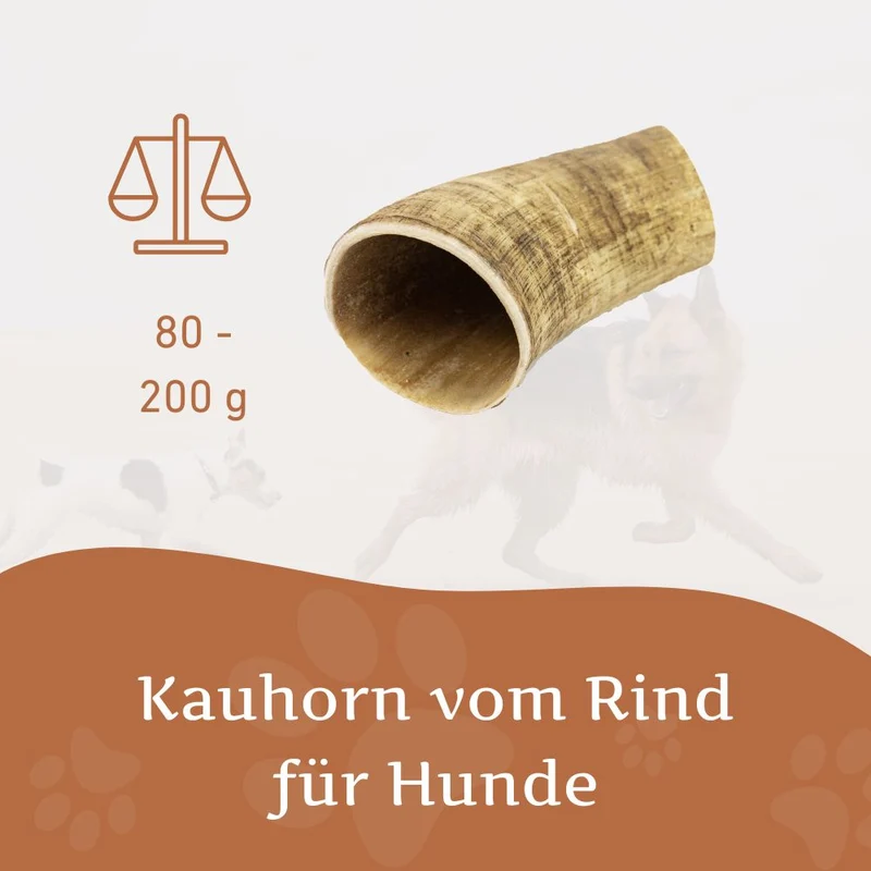 Kauhorn vom Rind - 3er Set
