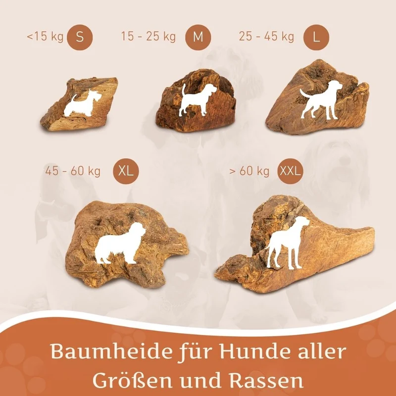 Kauwurzel aus Baumheide - 3er Set