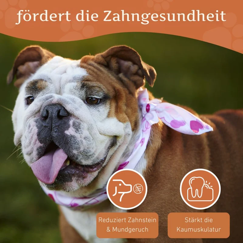 Kauwurzel aus Baumheide - 3er Set
