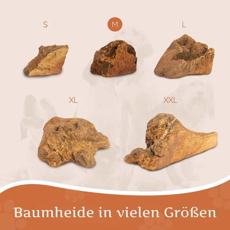 Kauwurzel aus Baumheide - 3er Set