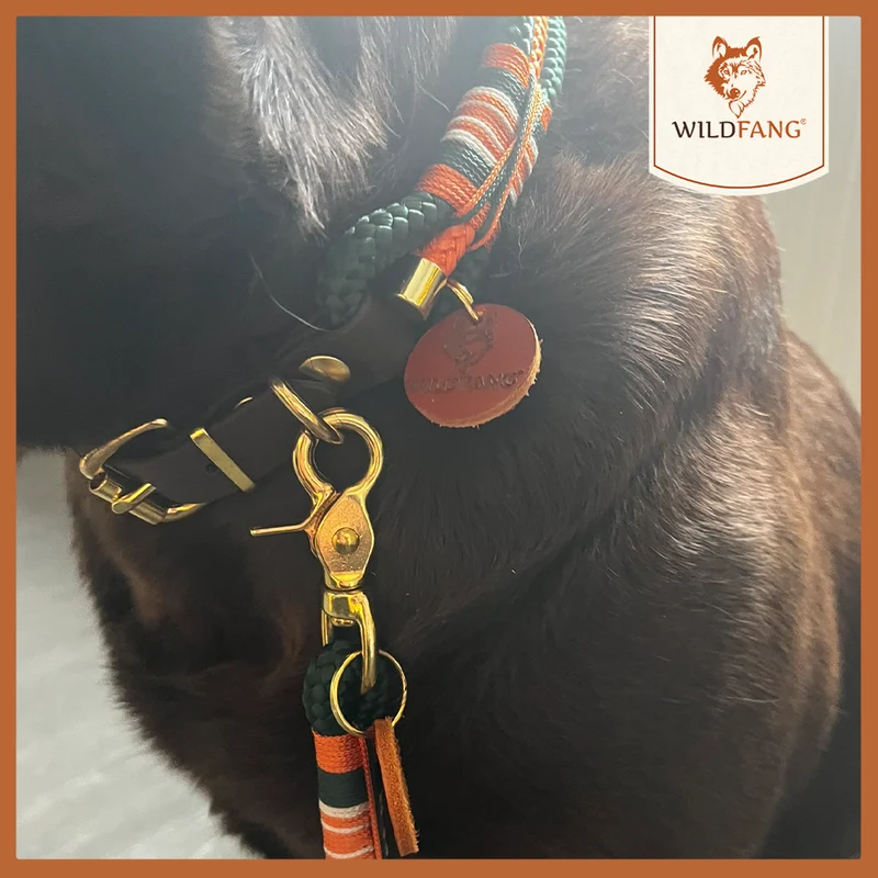 Hundehalsband "Wandergeflüster"