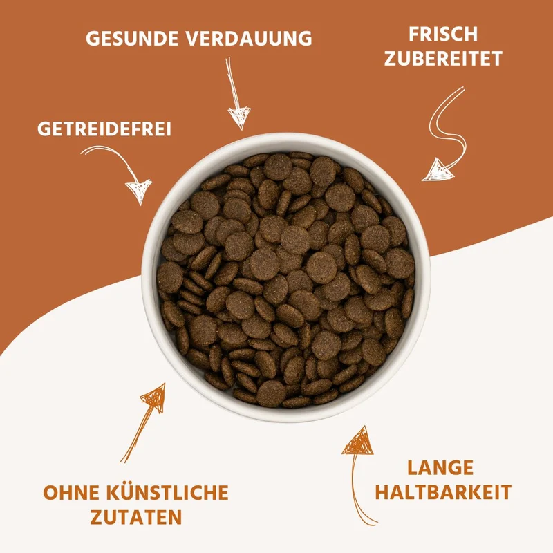 Junior Trockenfutter mit Lachs für Welpen - getreidefrei
