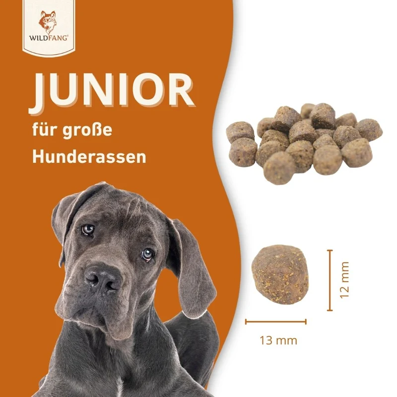 Junior Trockenfutter mit Lachs für Welpen - getreidefrei