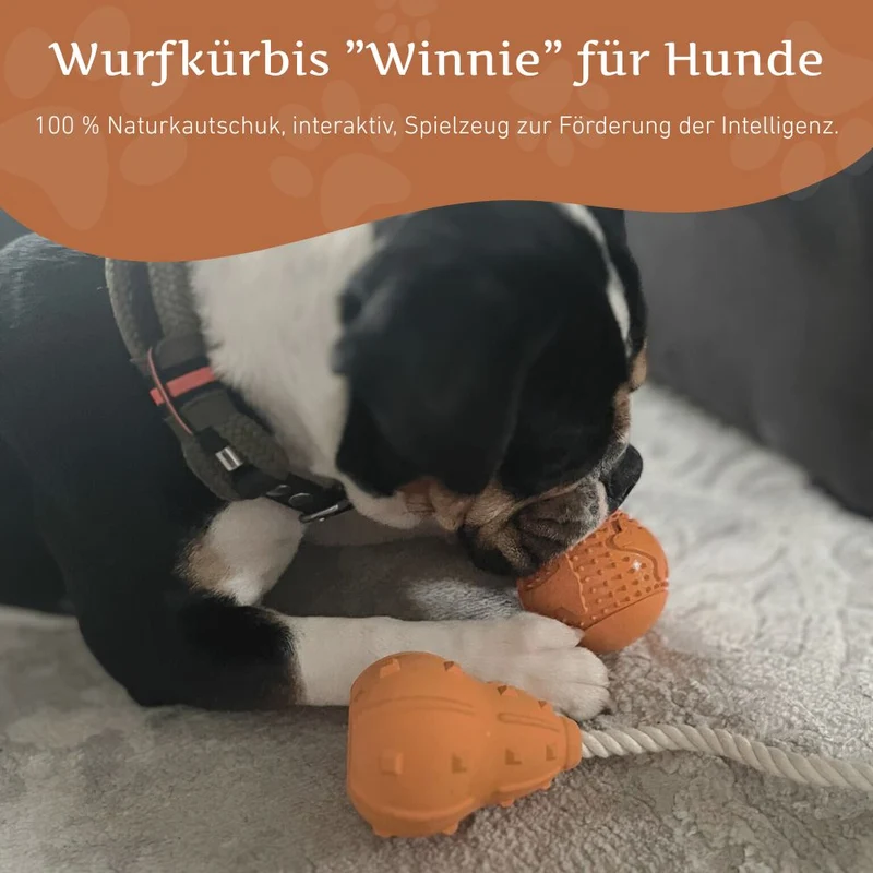 Wurfkürbis "Winnie"