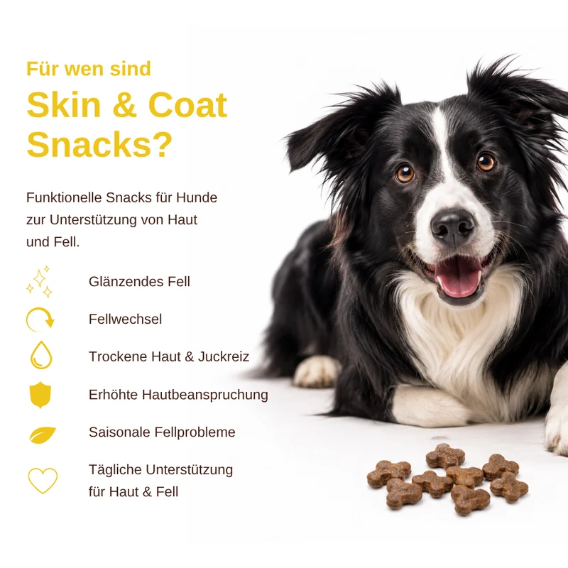 Skin & Coat – Funktionelle Snacks für Haut & Fell - 3er Set