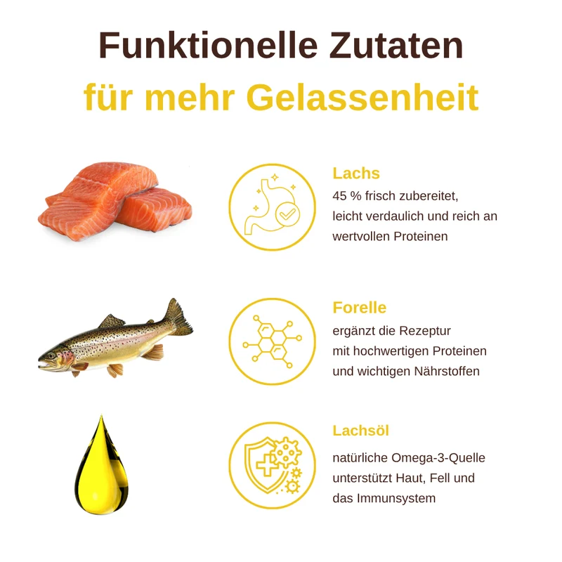 Skin & Coat – Funktionelle Snacks für Haut & Fell - 3er Set