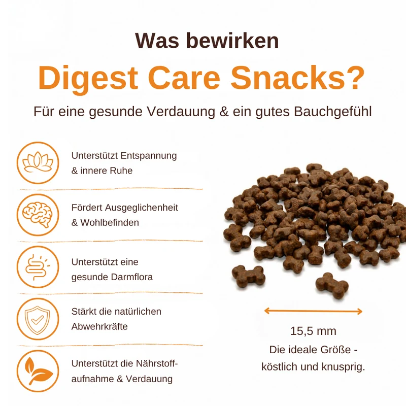 Digest Care – Funktionelle Snacks für eine gesunde Verdauung
