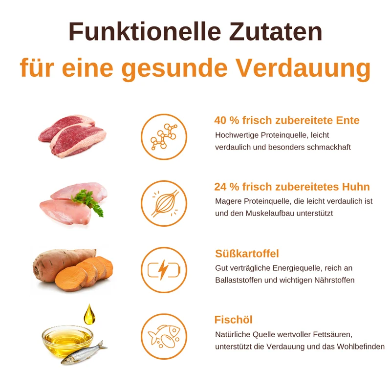 Digest Care – Funktionelle Snacks für eine gesunde Verdauung