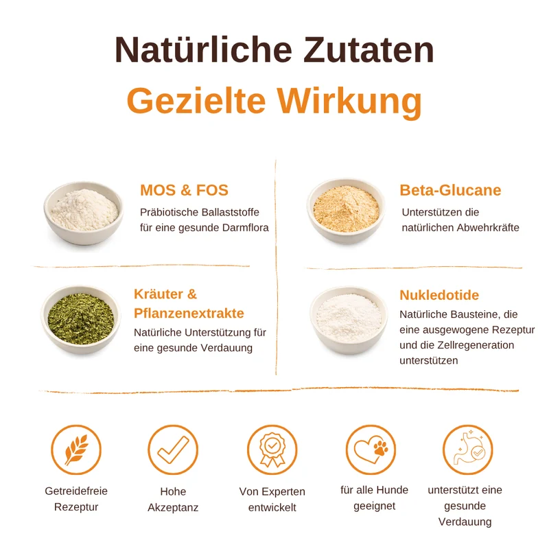 Digest Care – Funktionelle Snacks für eine gesunde Verdauung