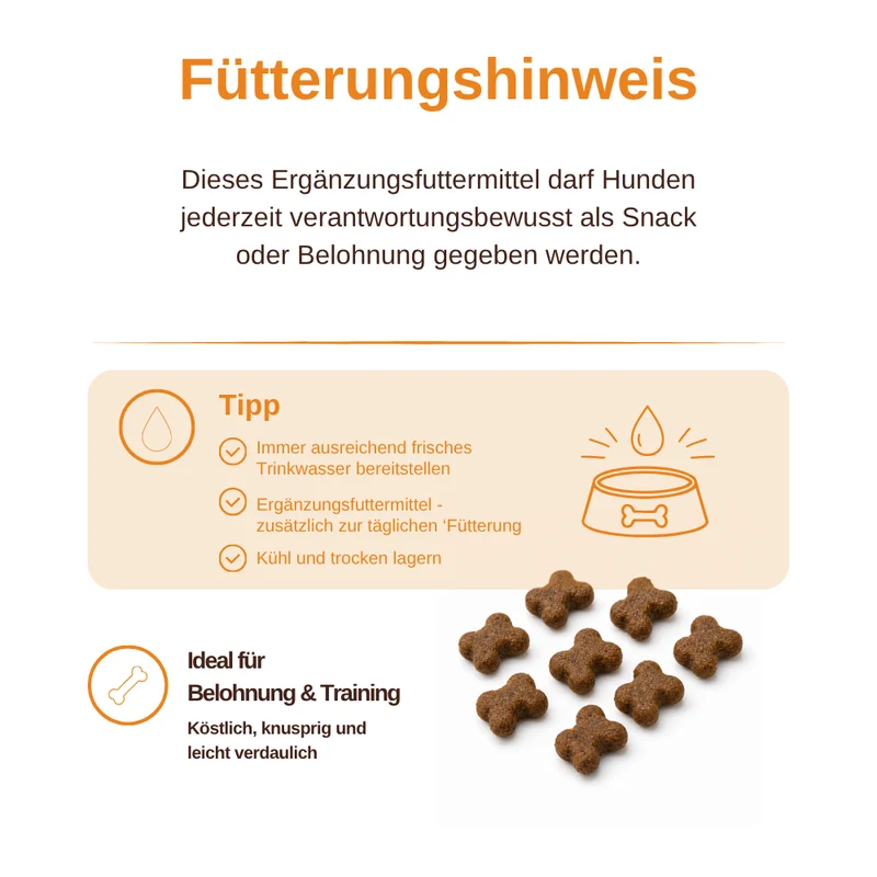 Digest Care – Funktionelle Snacks für eine gesunde Verdauung