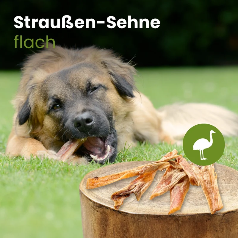 Straußensehnen flach