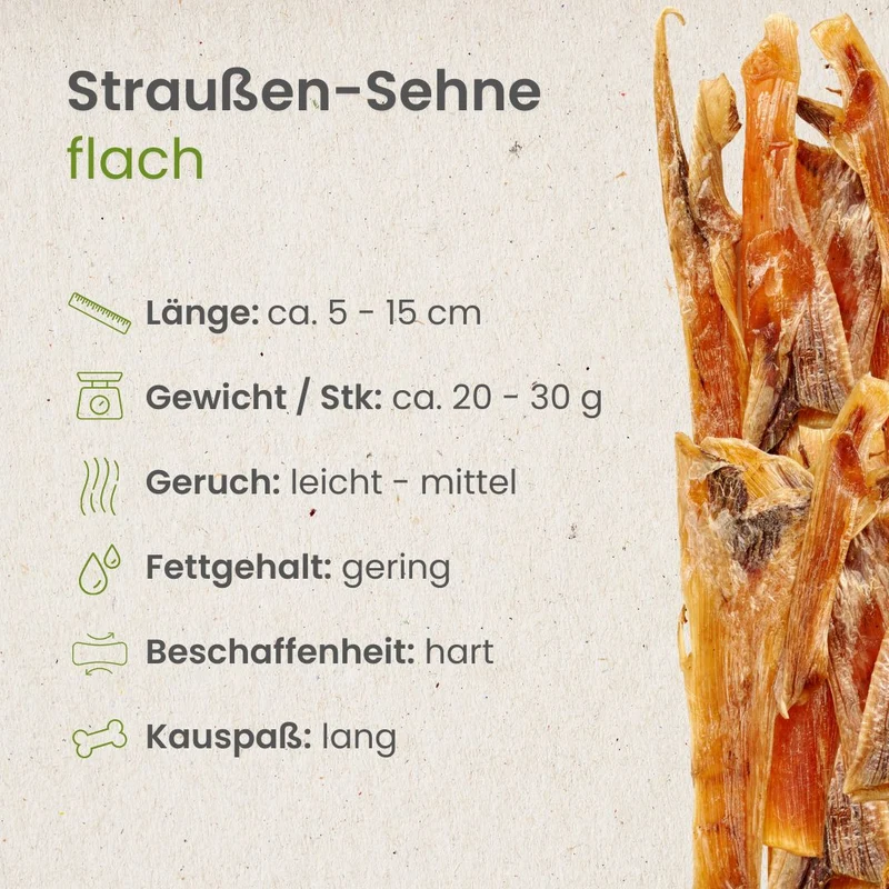 Straußensehnen flach