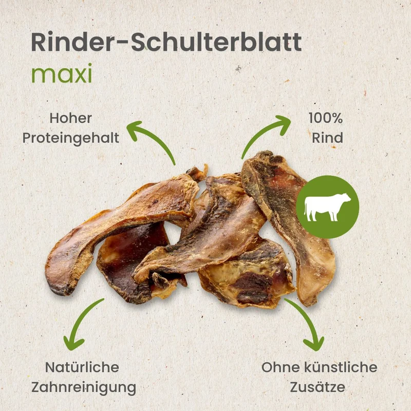 Rinder-Schulterblatt Maxi