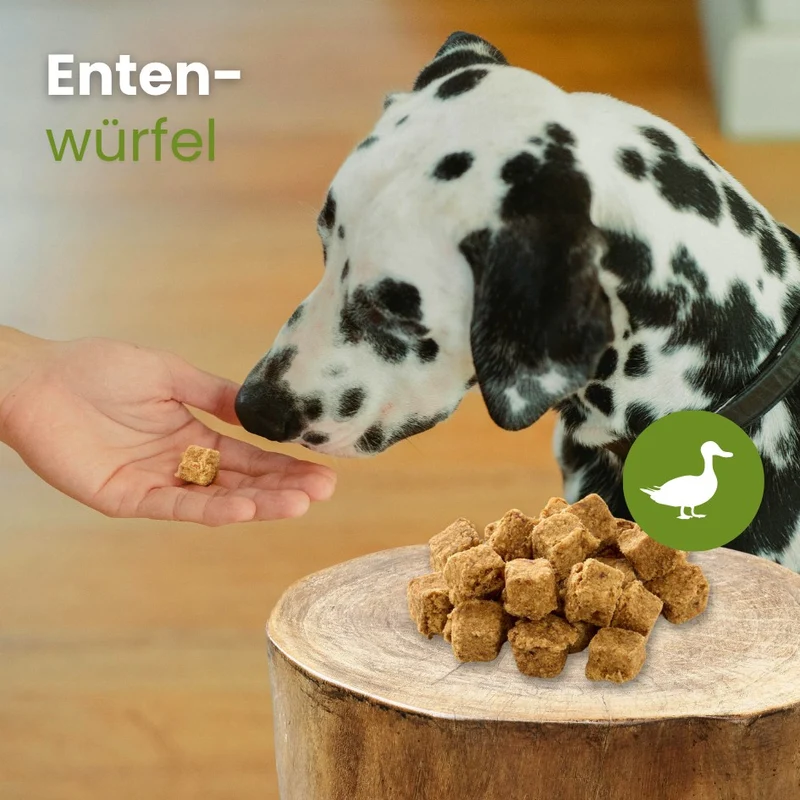 Enten-Würfel