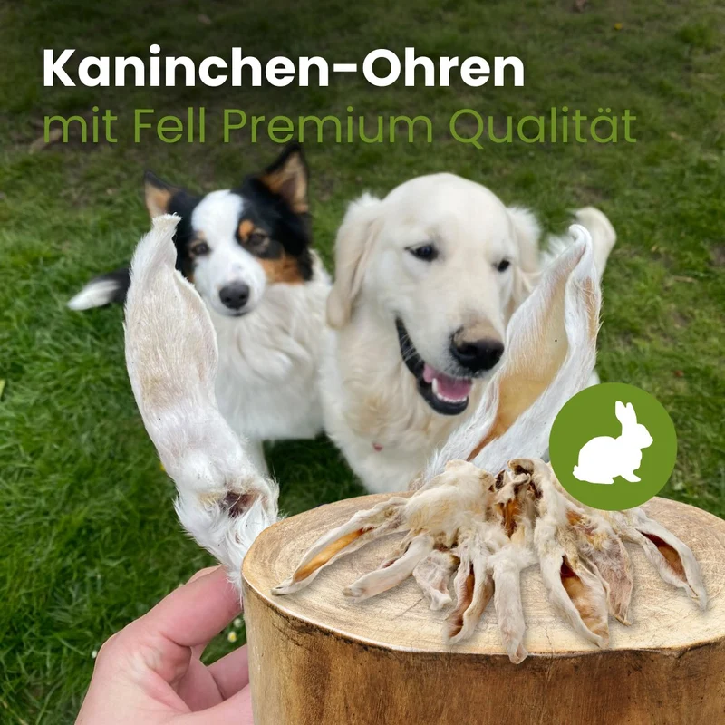 Kaninchen-Ohren mit Fell Premium Qualität
