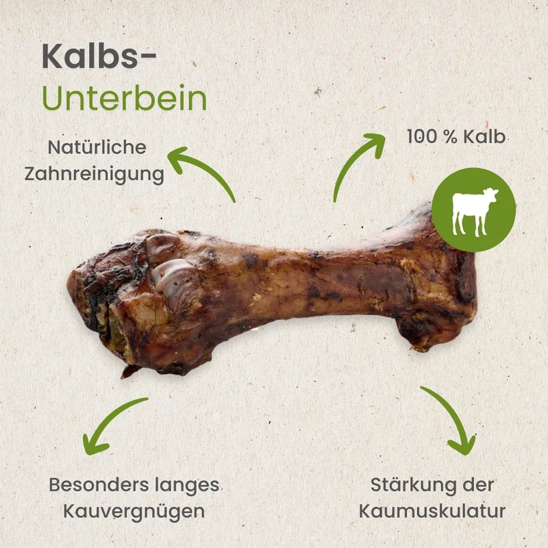 Kalbs-Unterbein