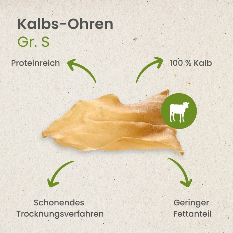 Kalbs-Ohren Gr. S