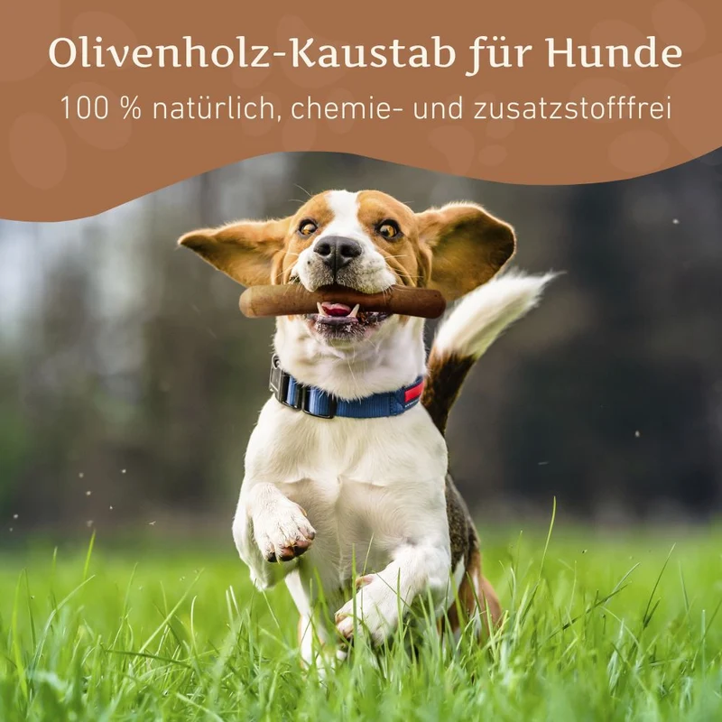 Olivenholz Kaustab - 3er Set