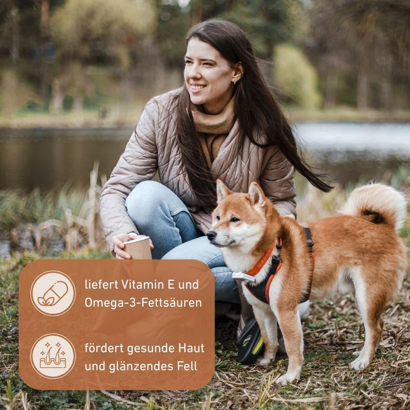 Olivenholz Kaustab - 3er Set