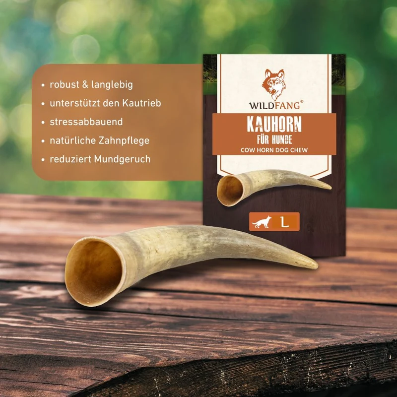 Kauhorn vom Rind