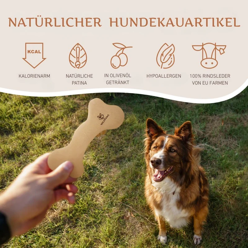 Lederknochen - Kauleder