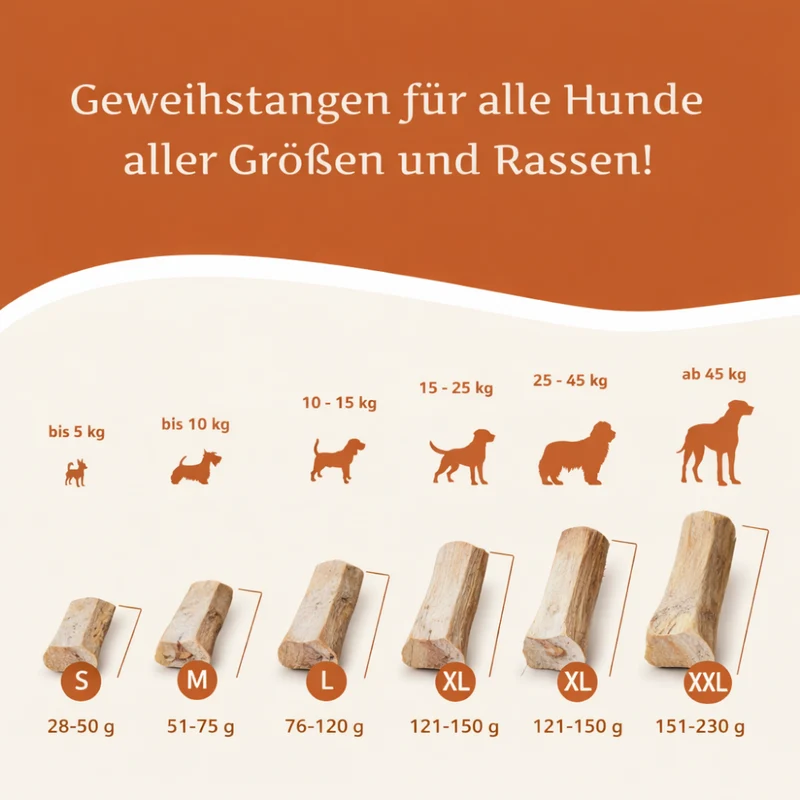Kaugeweih Rothirsch - halbe Kaustange - 3er Set