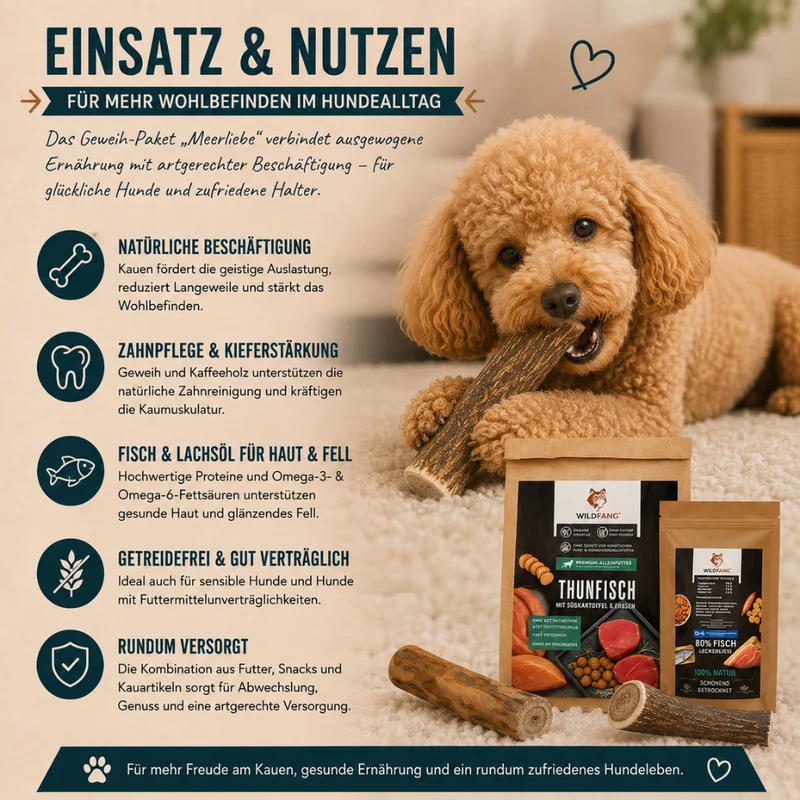 Paket "Meerliebe"