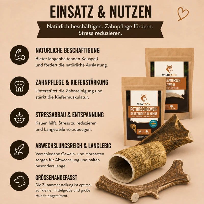 Paket "Geweihliebe"