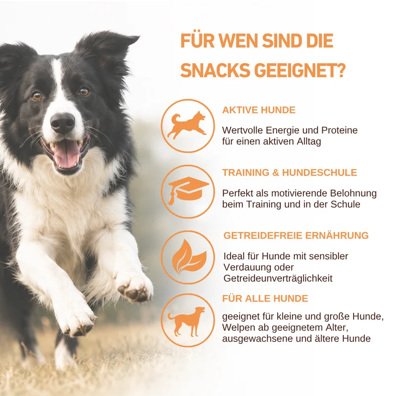Farm Protein Snacks - Premium Hundesnacks mit 80 % Geflügel