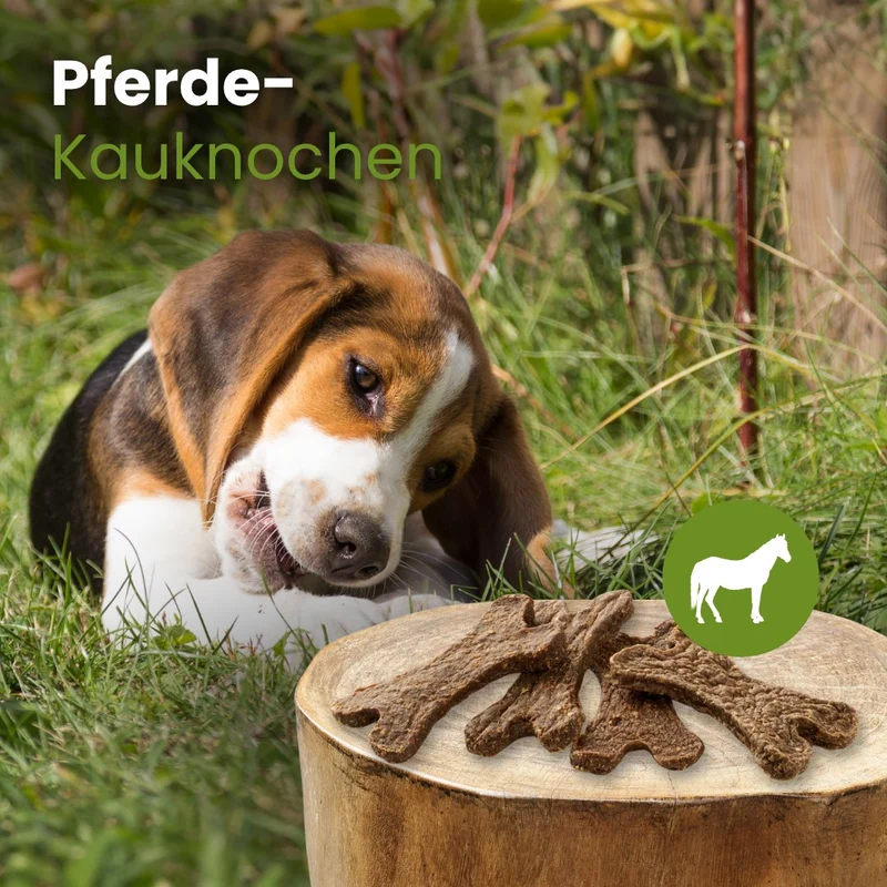 Pferde-Kauknochen