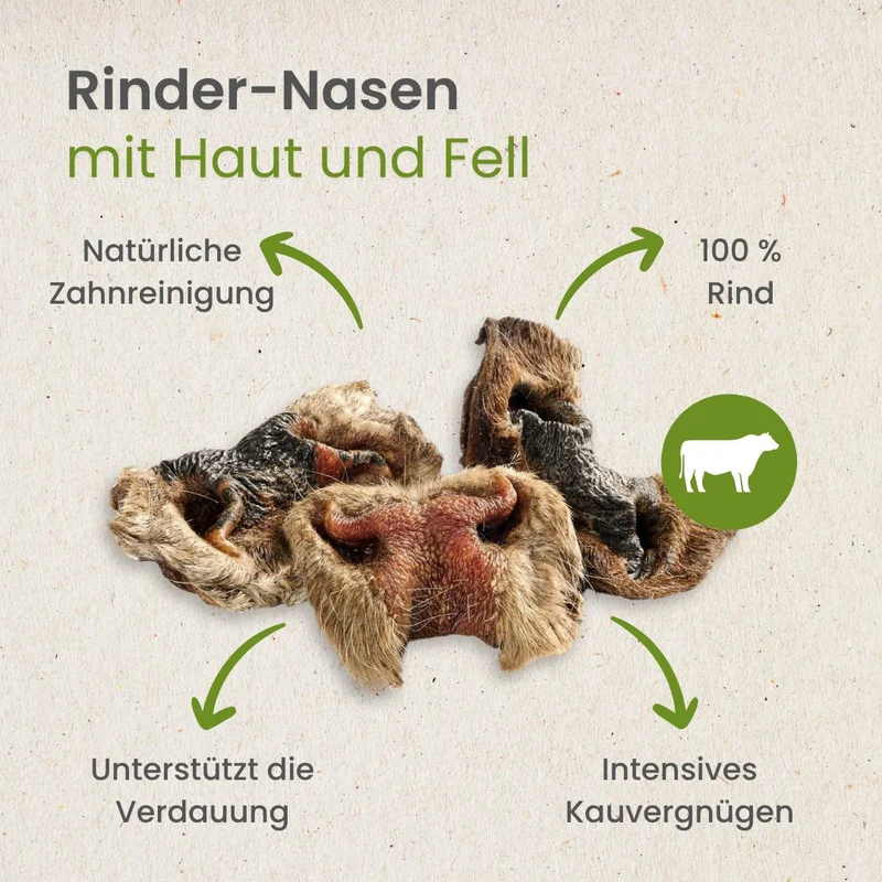Rinder-Nasen mit Haut und Fell