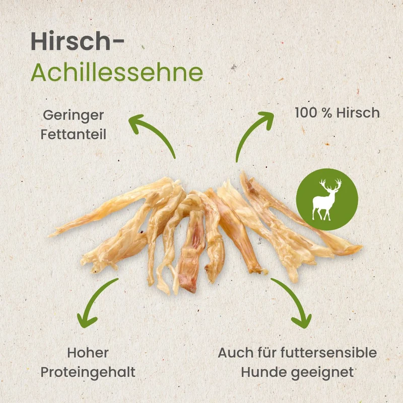 Hirsch-Achillessehne