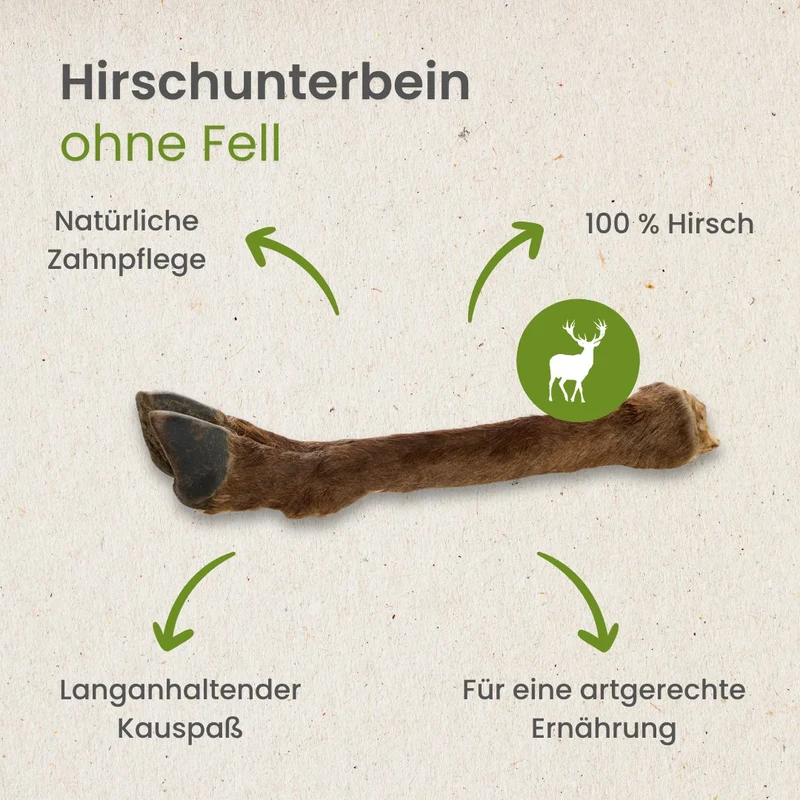 Hirsch Unterbein mit Fell