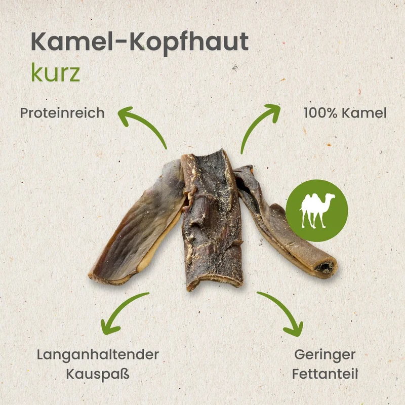 Kamel-Kopfhaut,kurz