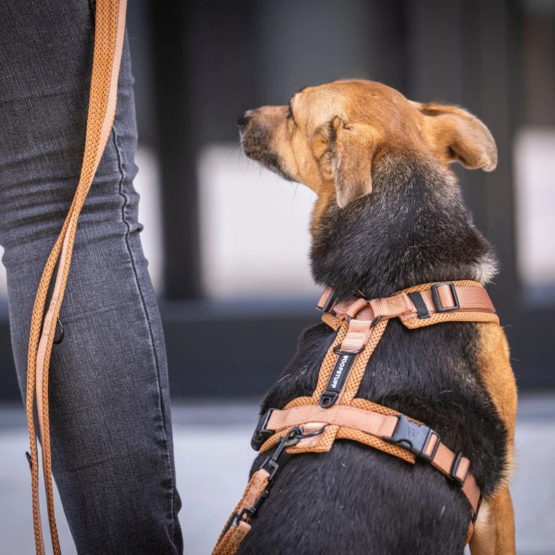Y-Hundegeschirr Nova Cognac