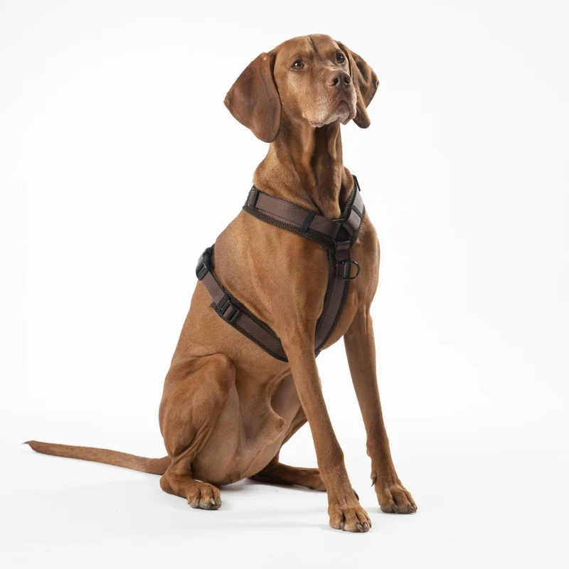 Y-Hundegeschirr Nova Chocolate