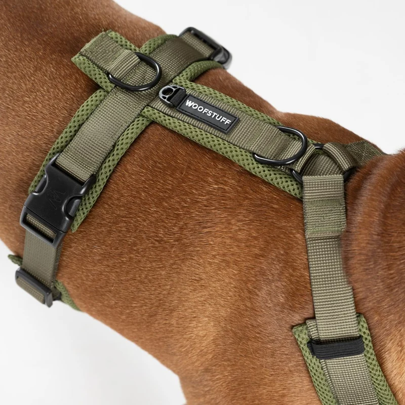 Y-Hundegeschirr Nova Olive