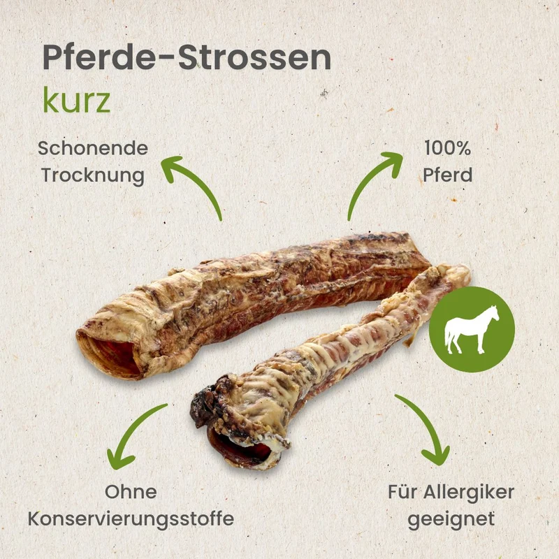 Pferde-Strossen, kurz