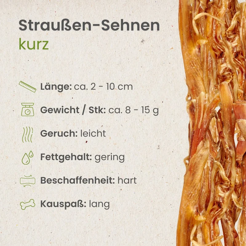 Straußen-Sehnen, kurz