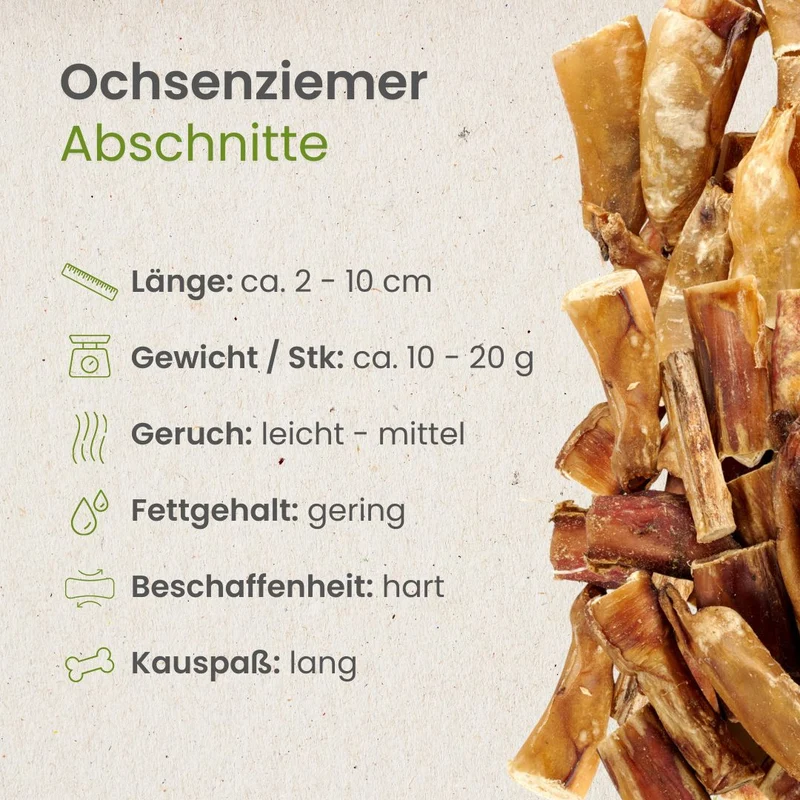 Ochsenziemer Abschnitte