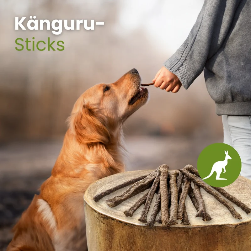 Känguru-Sticks