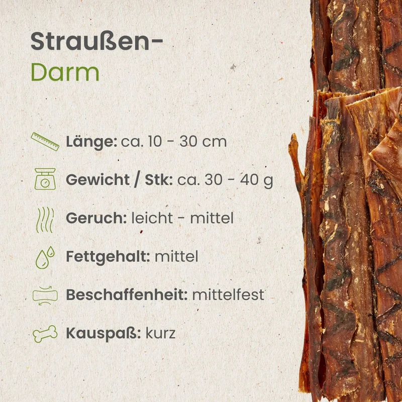 Straußen-Darm