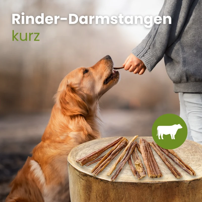 Rinder-Darmstangen, kurz