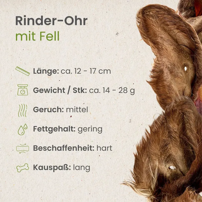 Rinder-Ohr mit Fell