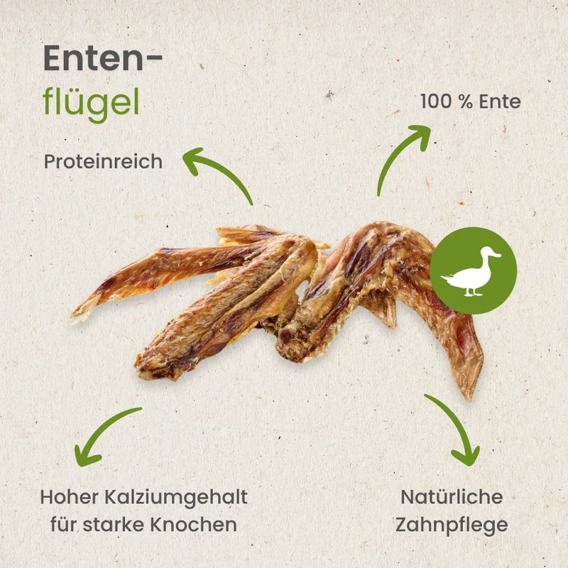 Enten-Flügel