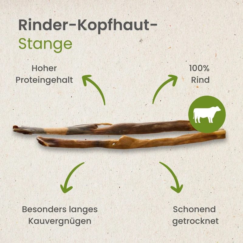Rinder-Kopfhaut-Stange