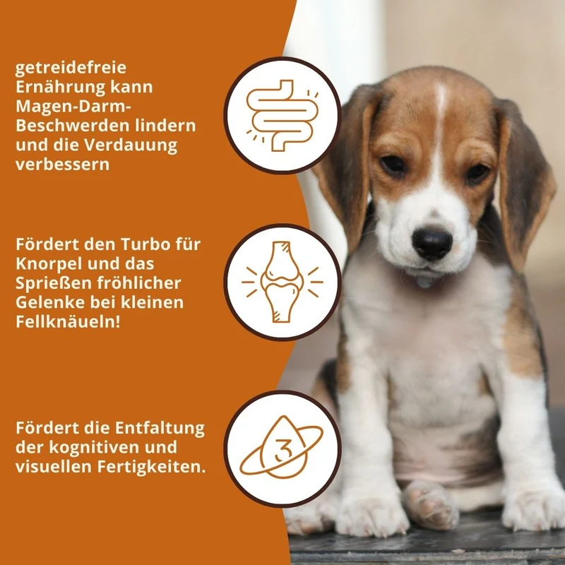 Junior Trockenfutter mit Huhn für Welpen - getreidefrei